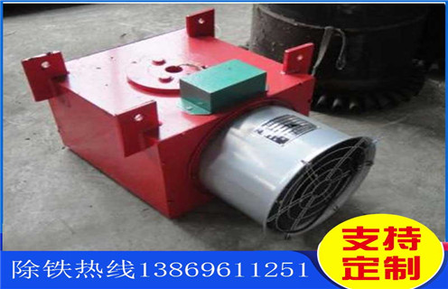 電磁除鐵器,風(fēng)冷式電磁除鐵器,濰坊風(fēng)冷式電磁除鐵器生產(chǎn)廠(chǎng)家